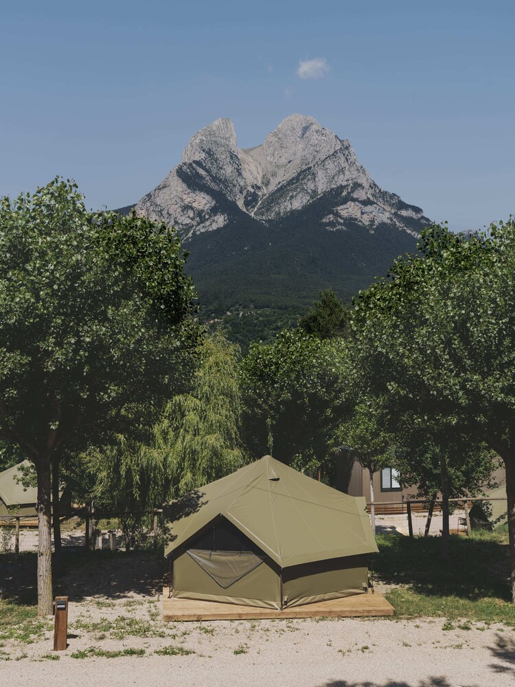 Basic Tent