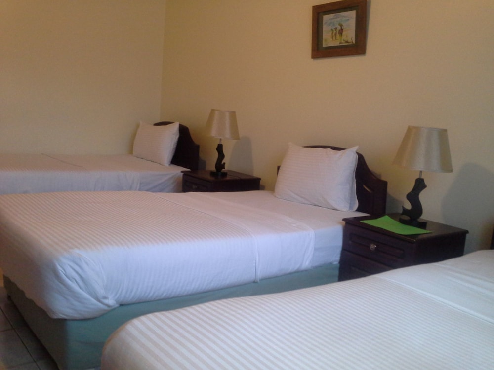 Deluxe Triple Room, City View photo 1