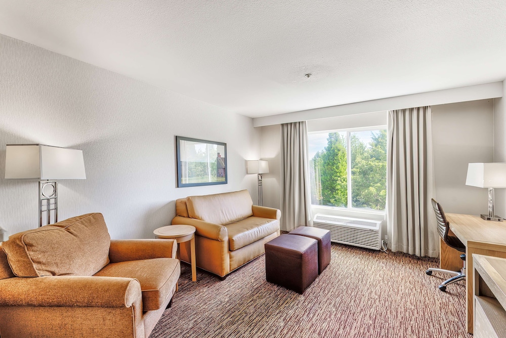 Room, 1 King Bed, Accessible