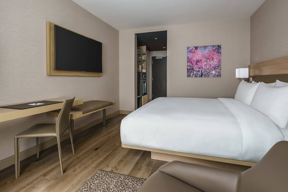Room, 1 King Bed (Mobility Accessible, Tub)