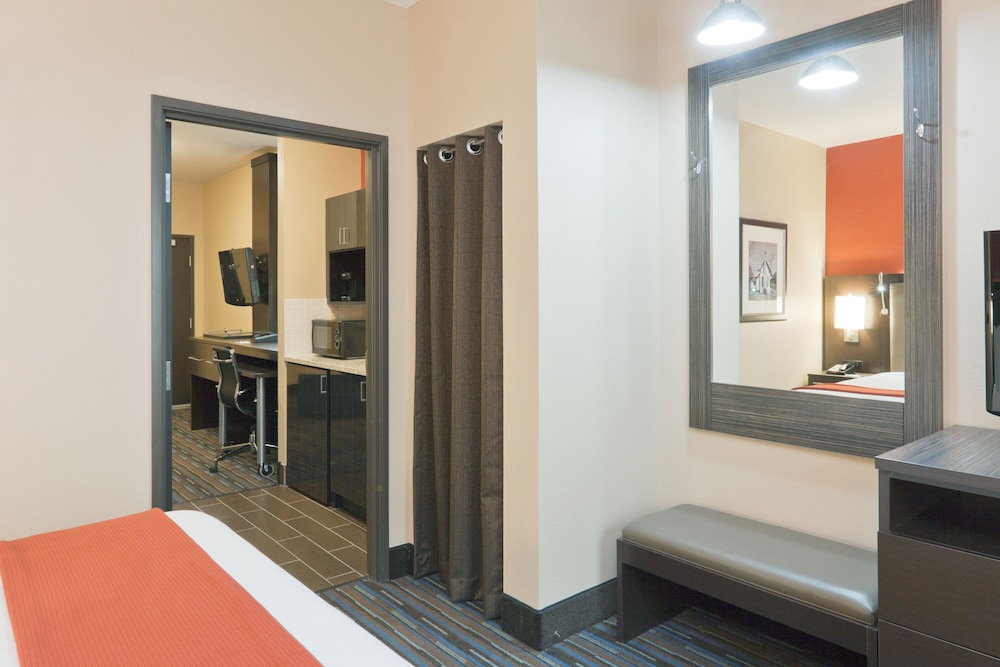 Suite, 1 King Bed with Sofa bed