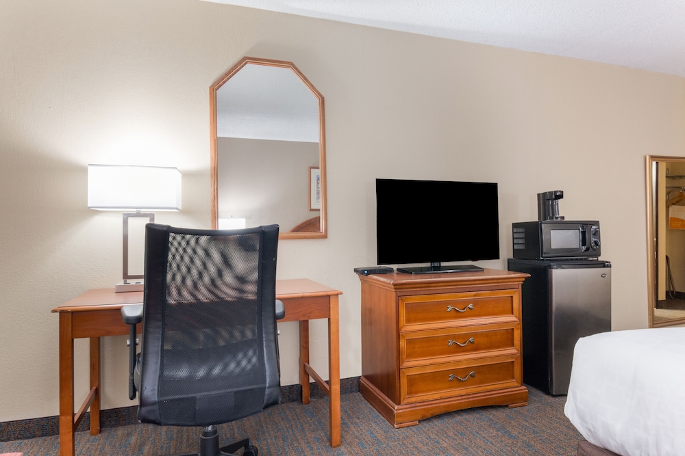 Standard Single Room photo 3