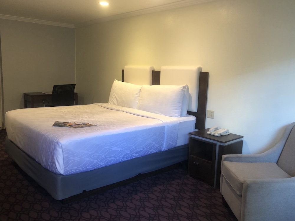 Single Guest Room
