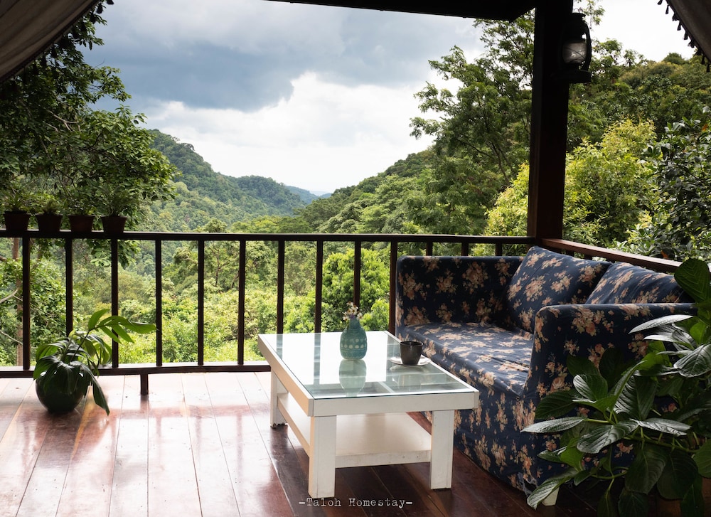 Family Room, Non Smoking, Hill View photo 2