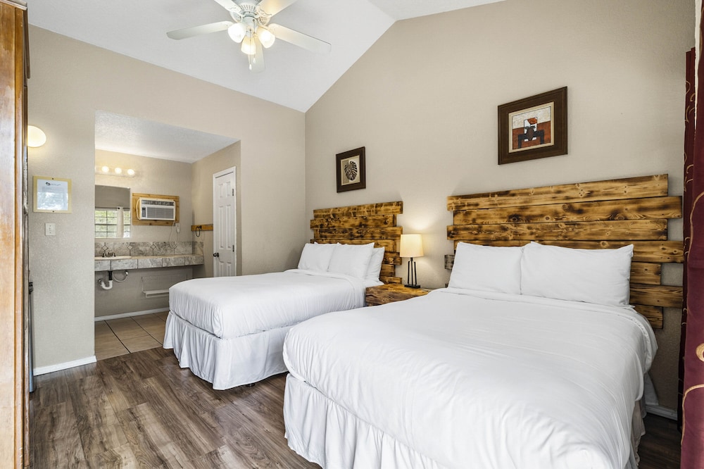 Deluxe Studio Suite photo 3