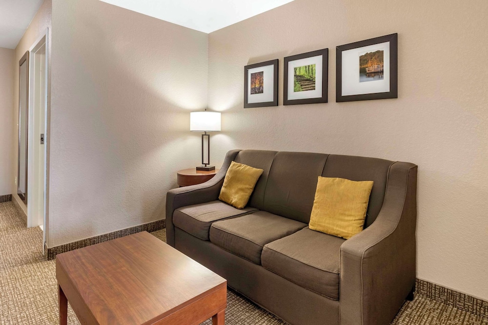 Business Room, 1 King Bed with Sofa bed, Accessible, Non Smoking - Photo 1