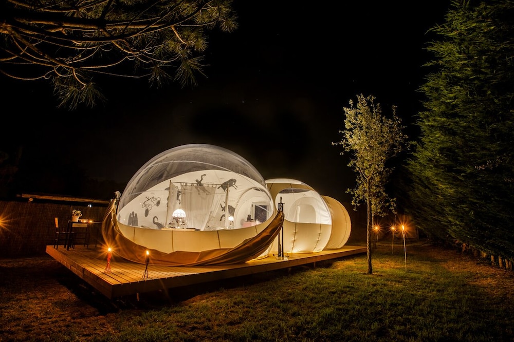Room (Bubble Bosque) photo 3