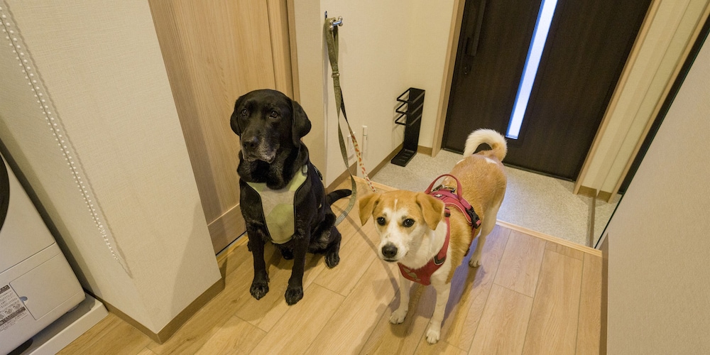 [Dog-friendly] Room for 8 People, Non Smoking - Photo 17