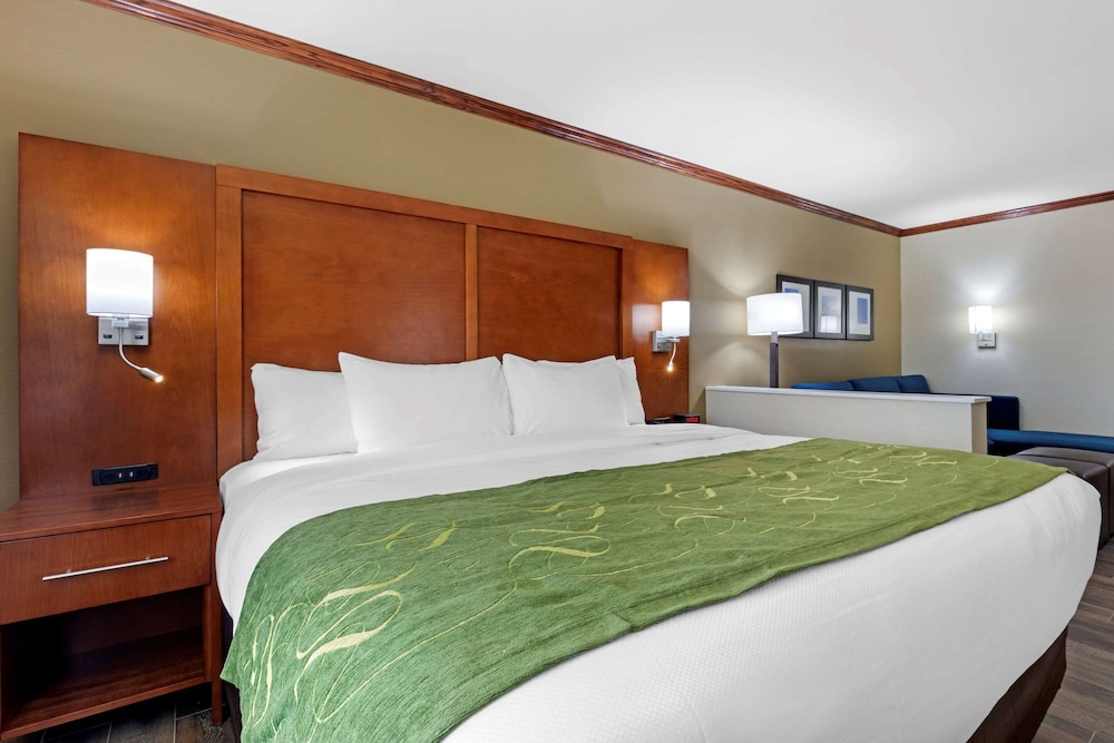 King Bed Suite - Photo 1