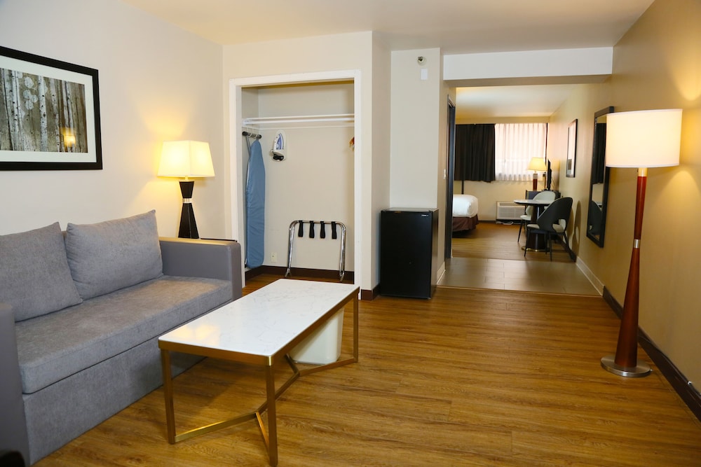 Basic Studio Suite photo 1