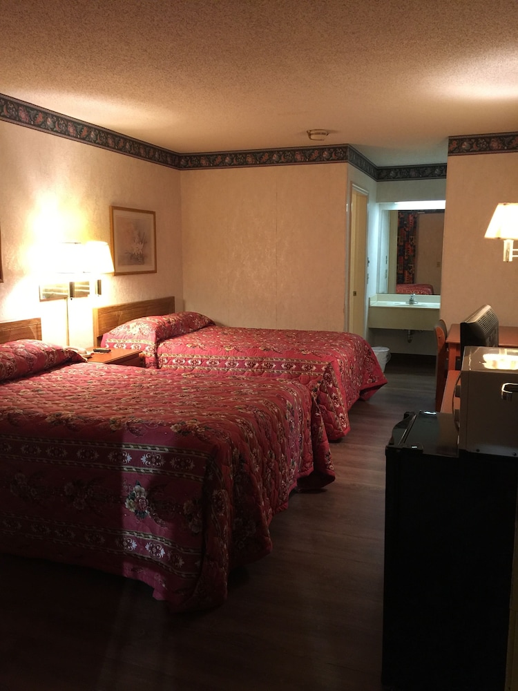 Standard Studio, 2 Double Beds photo 1