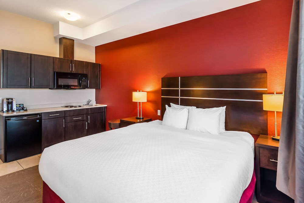 Standard Room, 1 King Bed, Non Smoking, Kitchen (Larger Room;with Sofabed)