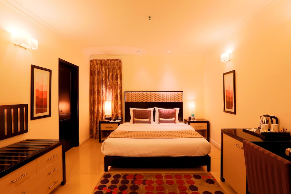 Suite - Photo 9