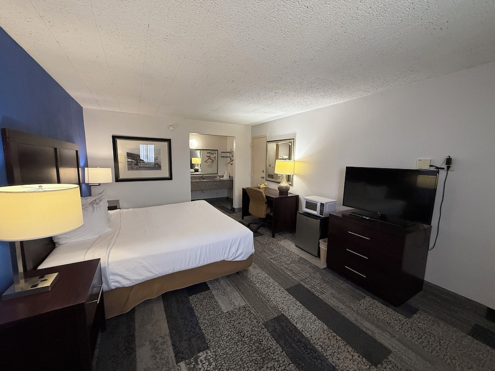 Single Room, 1 King Bed