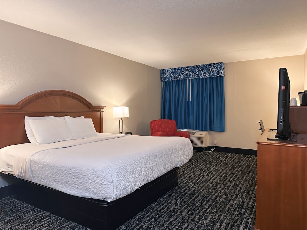 Suite, 1 King Bed, Non Smoking - Photo 6