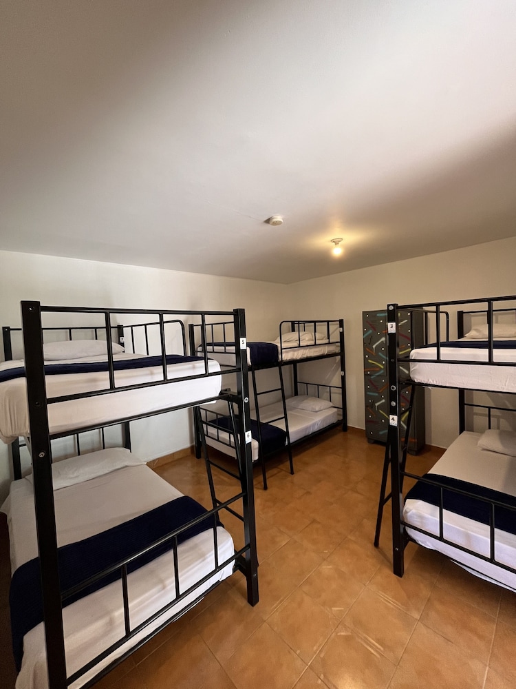 Basic Shared Dormitory