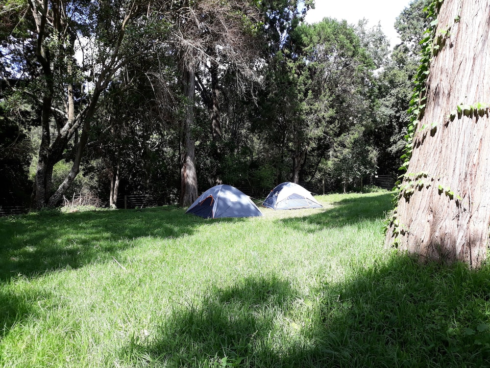 Tent photo 1