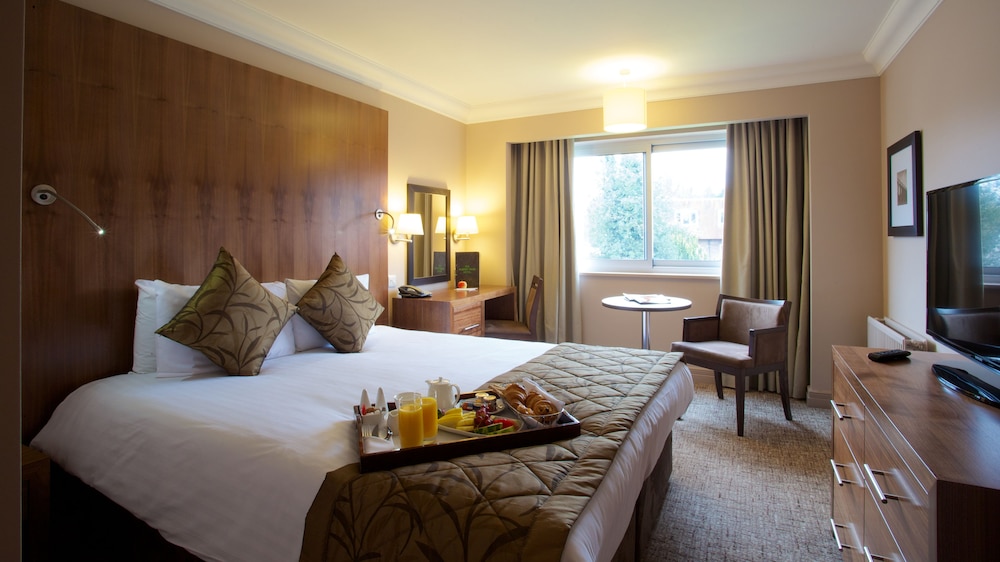 Executive Room - Photo 1