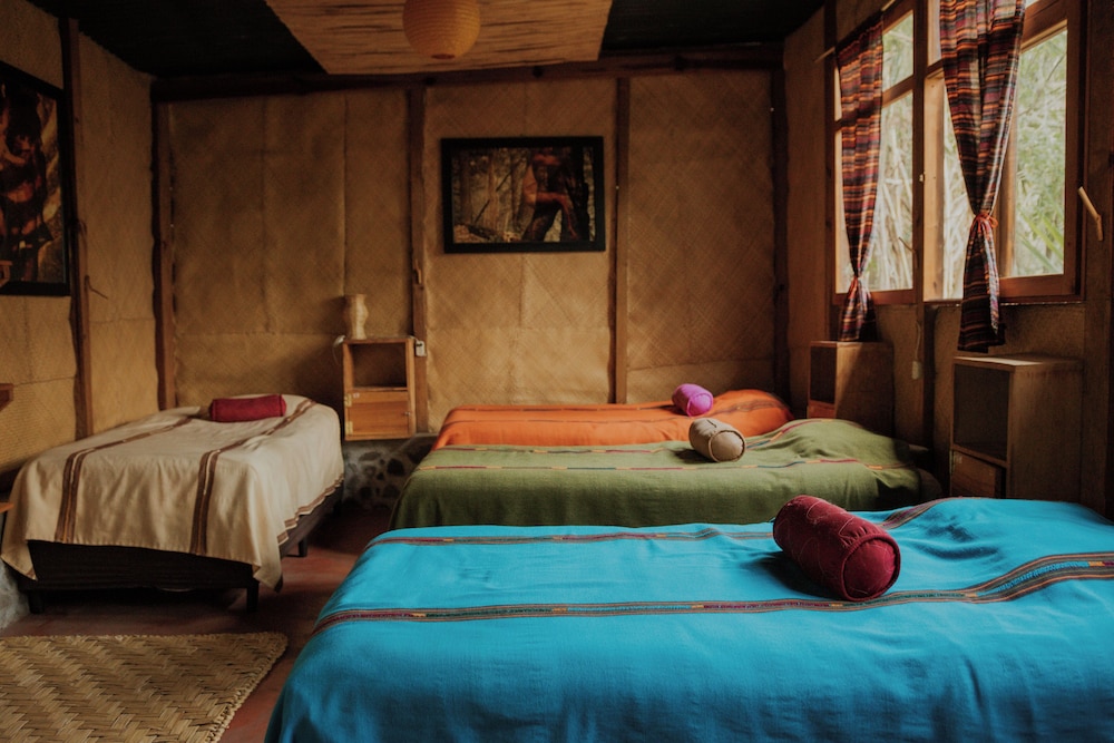 Basic Shared Dormitory photo 1