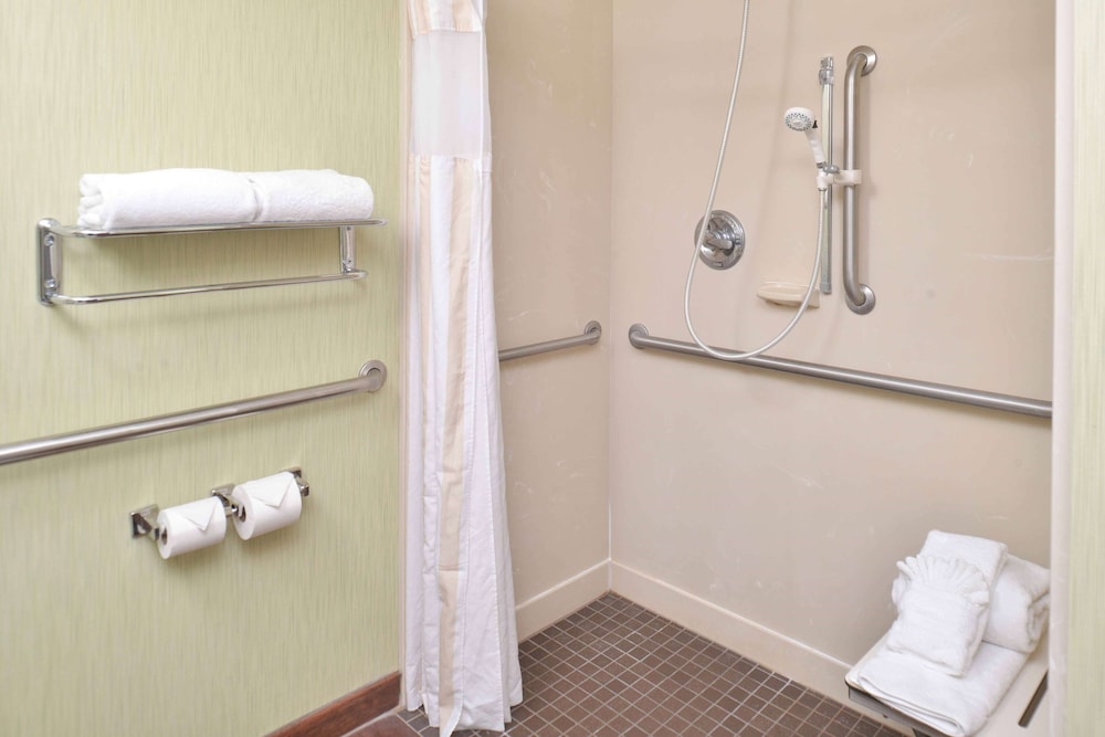 Room, 1 King Bed, Accessible - Photo 6