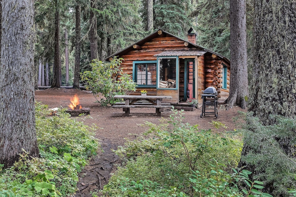 Odell Lake Historic Cabin-Queen Log Bed photo 1