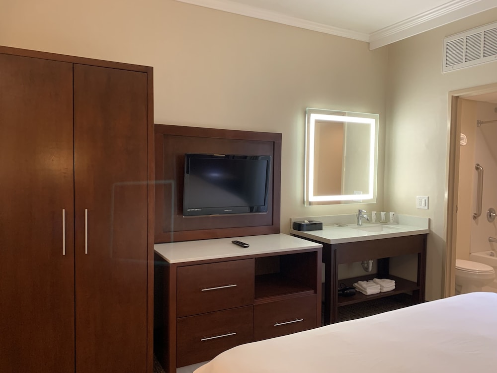 Suite, 1 King Bed, Non Smoking, Pool View - Photo 9