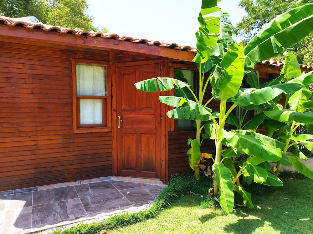 Classic Bungalow, 1 Bedroom, Terrace photo 2