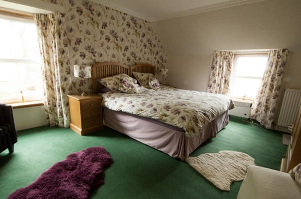 Double Room, 1 Double Bed, Non Smoking photo 2