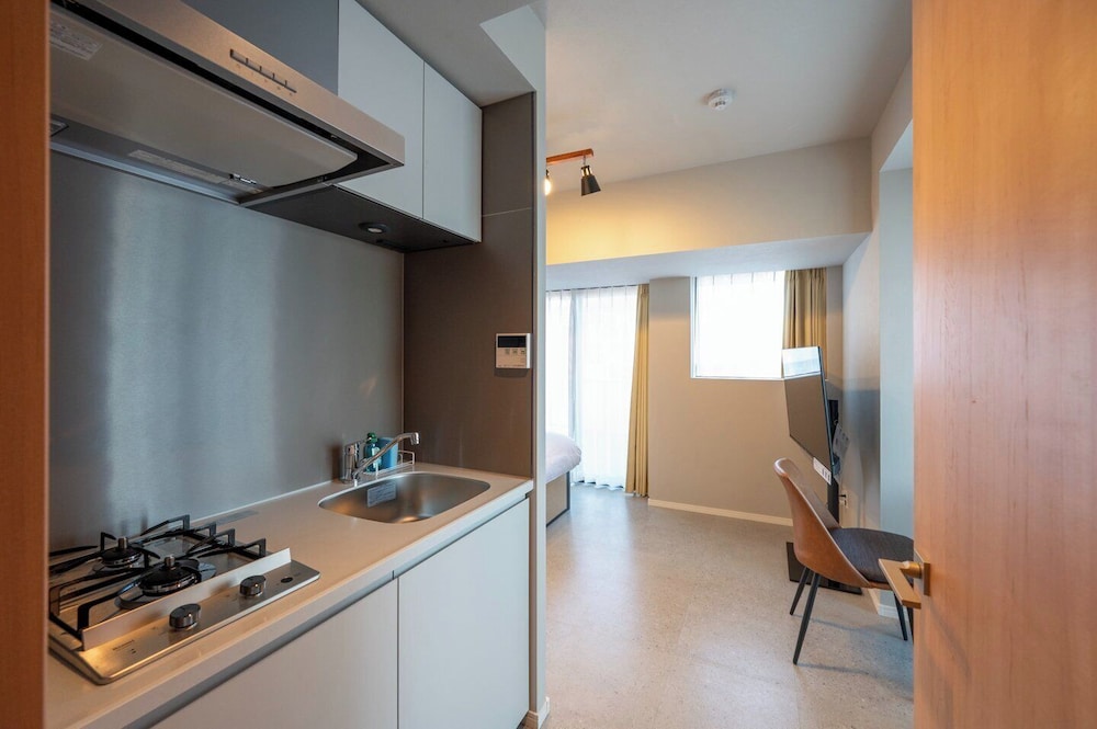 Basic Apartment, Non Smoking (e01) photo 3
