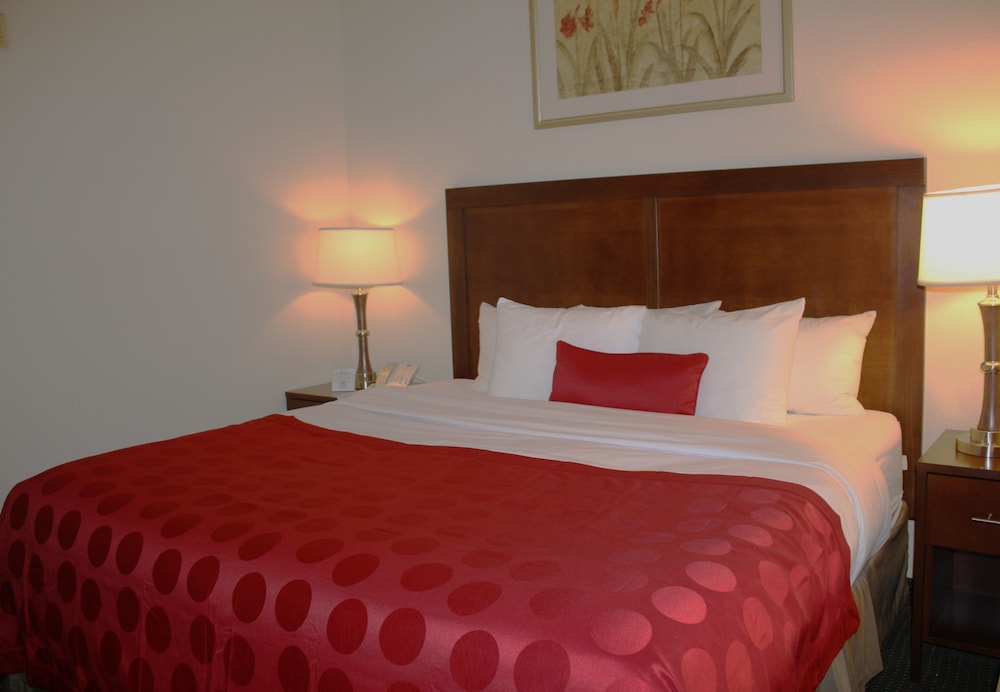 Studio Suite, 1 King Bed, Accessible, Non Smoking (Mobility) - Photo 3