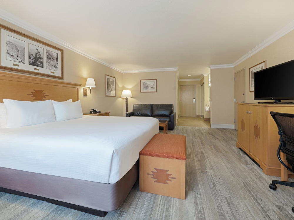 Premium Room, 1 King Bed, Roll-in Shower (Communications, Mobility) - Photo 3