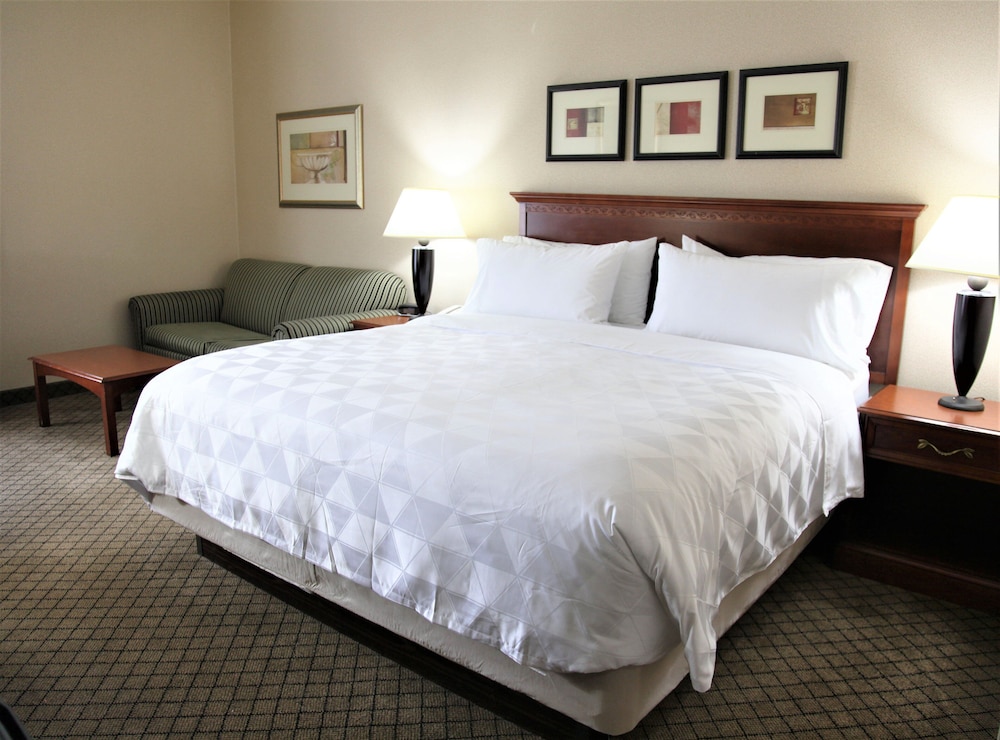 Standard Room, 1 King Bed With Sofa Bed