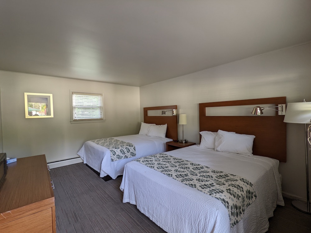 Room photo 1