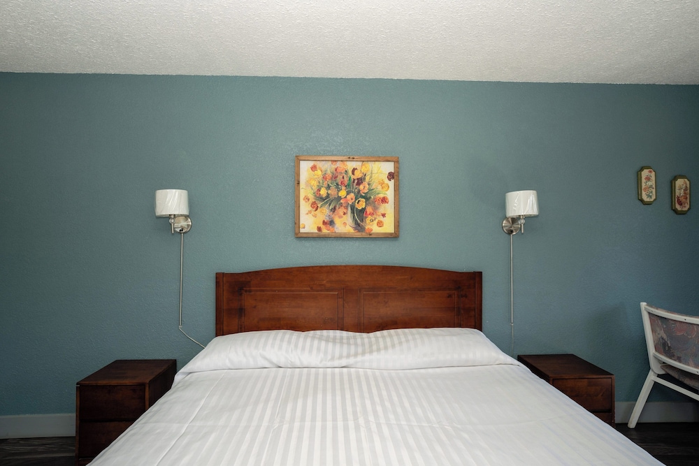 Basic Single Room photo 1