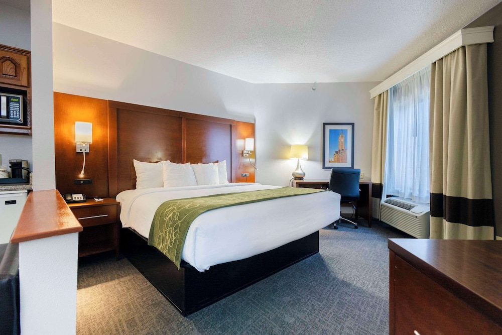 Suite, 1 King Bed, Non Smoking - Photo 26