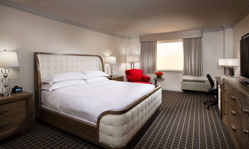 Suite, 1 King Bed photo 2