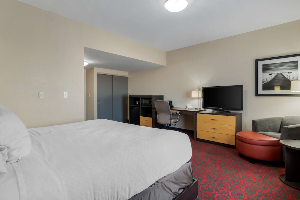 Standard Room, 1 King Bed, Non Smoking (Pet Friendly)