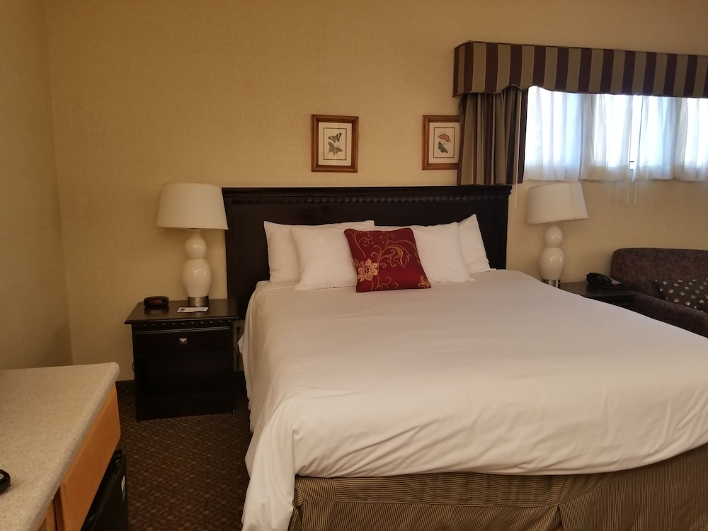 Studio, 1 King Bed, Accessible (King Studio ADA) - Photo 1