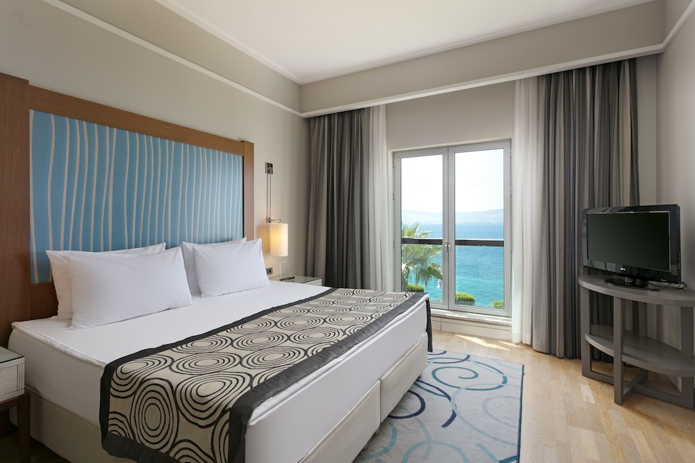 Deluxe Suite photo 1