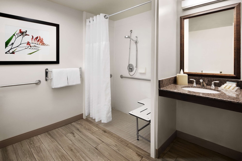 Room, 1 King Bed, Accessible (Roll-In Shower) - Photo 4