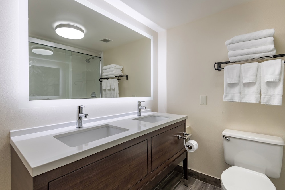 Suite, 1 Bedroom - Photo 5