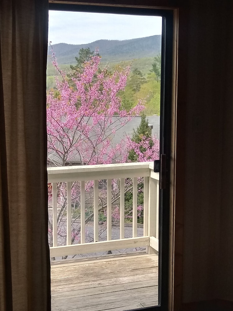 Condo, Multiple Beds, Non Smoking, Mountain View photo 3