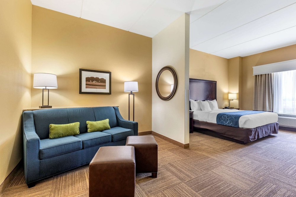 Standard Suite, 1 King Bed with Sofa bed, Non Smoking - Photo 4