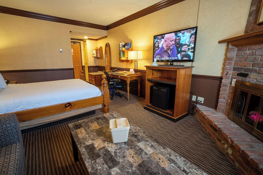 Standard Room, 1 Queen Bed, Non Smoking, Fireplace - Photo 8