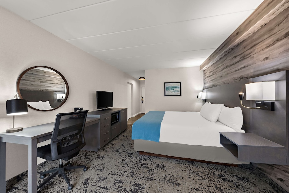 Standard Room, 1 King Bed, Accessible, Refrigerator & Microwave - Photo 4