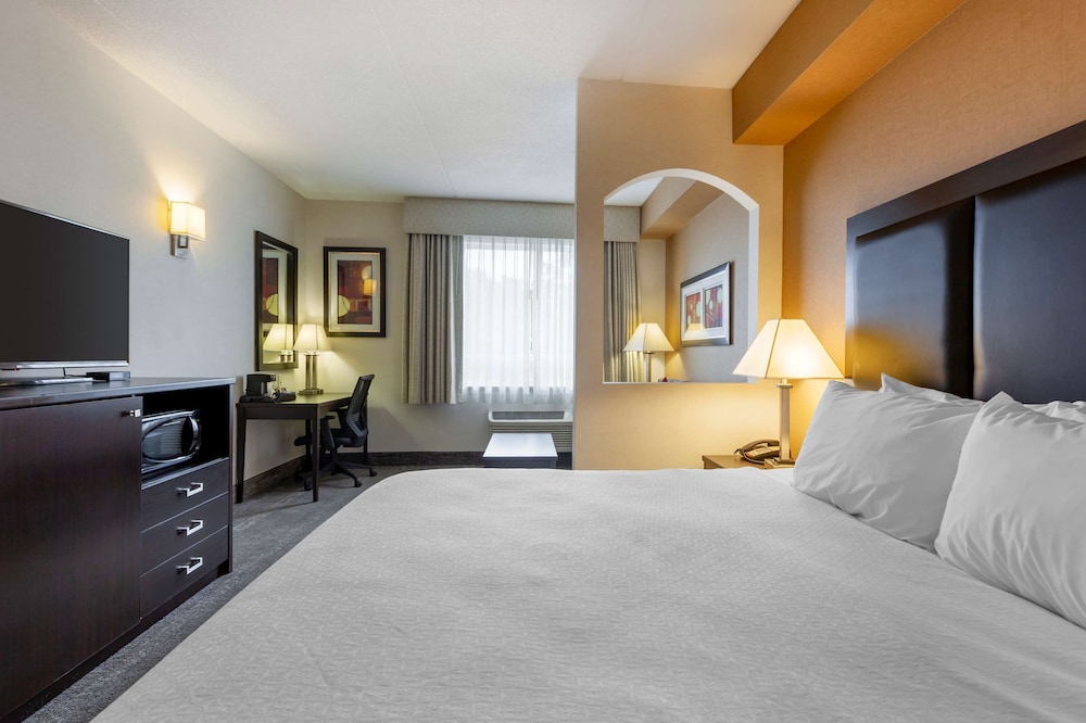 Executive Suite, 1 King Bed, Non Smoking, Refrigerator & Microwave