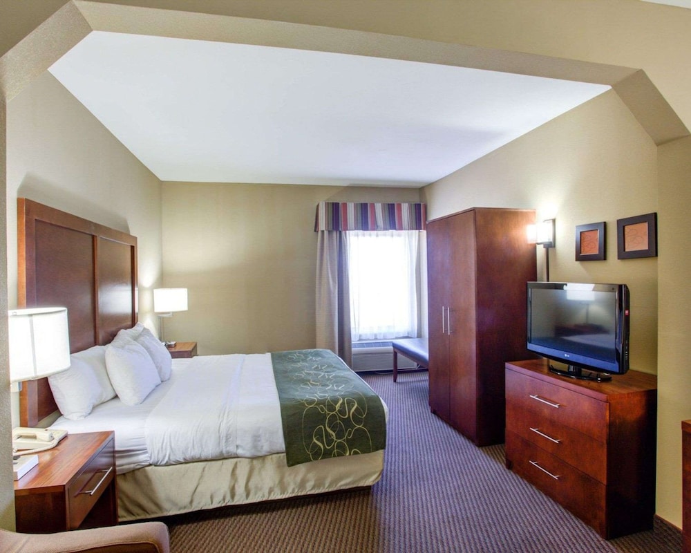 Suite, 1 King Bed with Sofa bed, Non Smoking - Photo 6