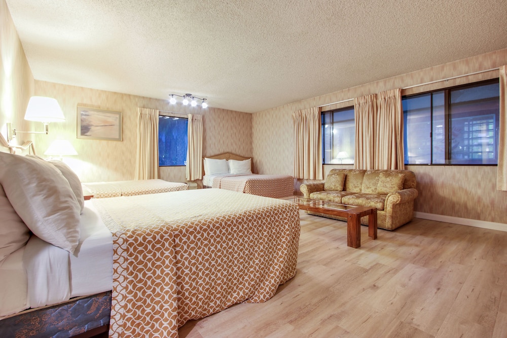 Standard Studio Suite photo 1