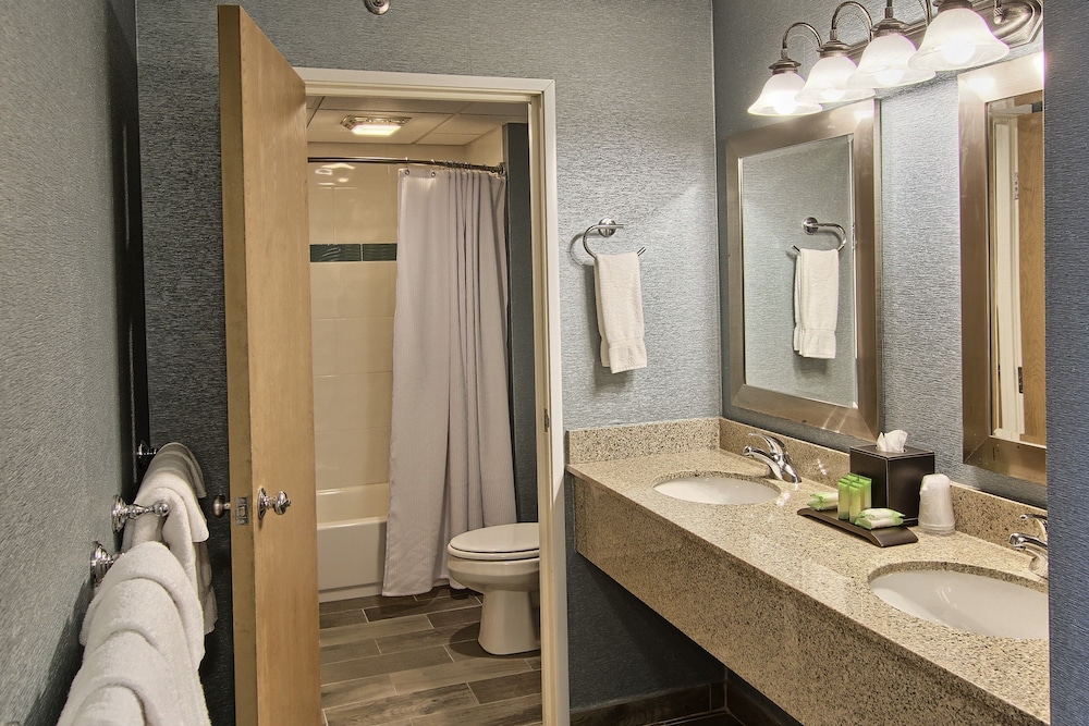 Family Suite, Multiple Beds