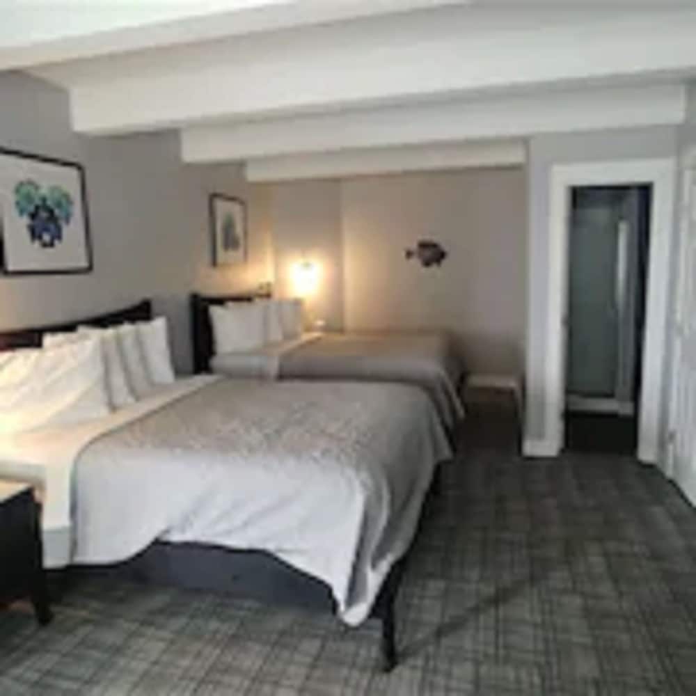 Suite, 2 Queen Beds photo 1